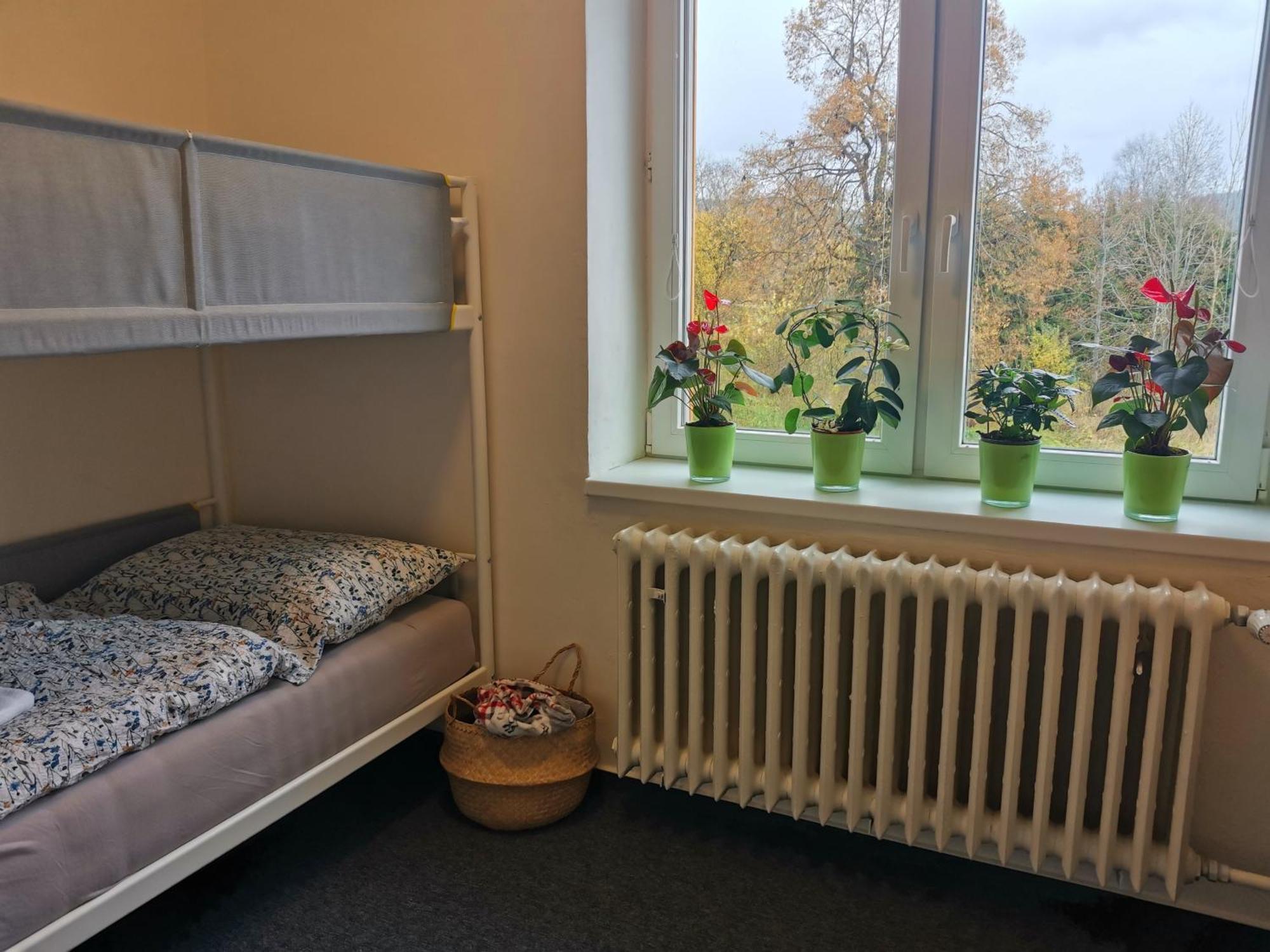 Apartmany Pekna 10 Nová Pec Eksteriør billede