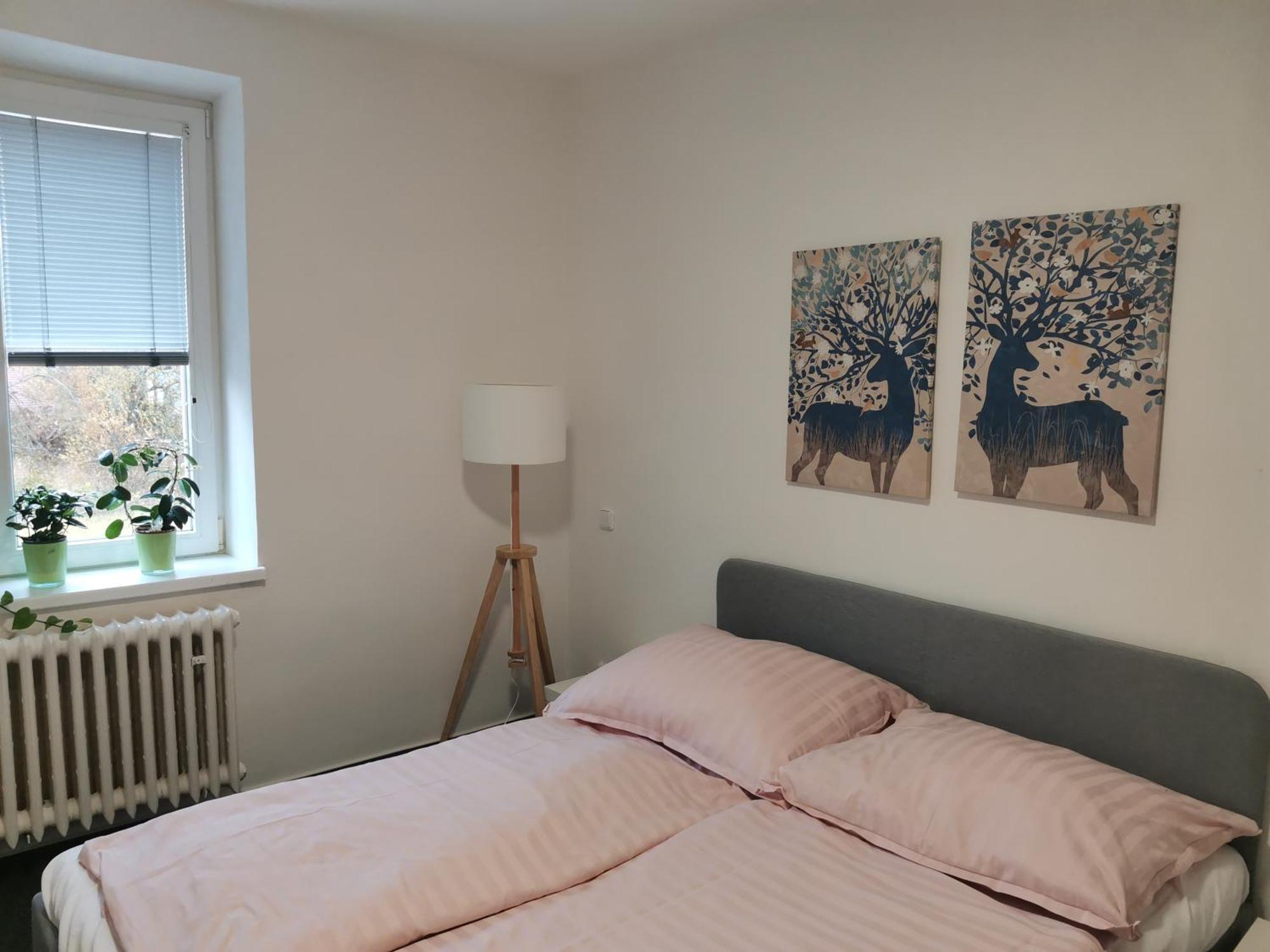 Apartmany Pekna 10 Nová Pec Eksteriør billede